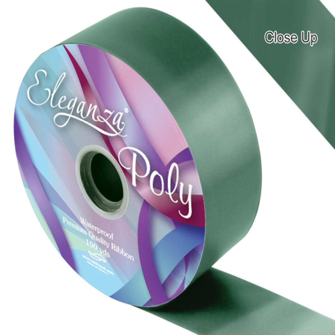 Eleganza Rbbn 5cm x 91m Green - Tiger Feet Ireland