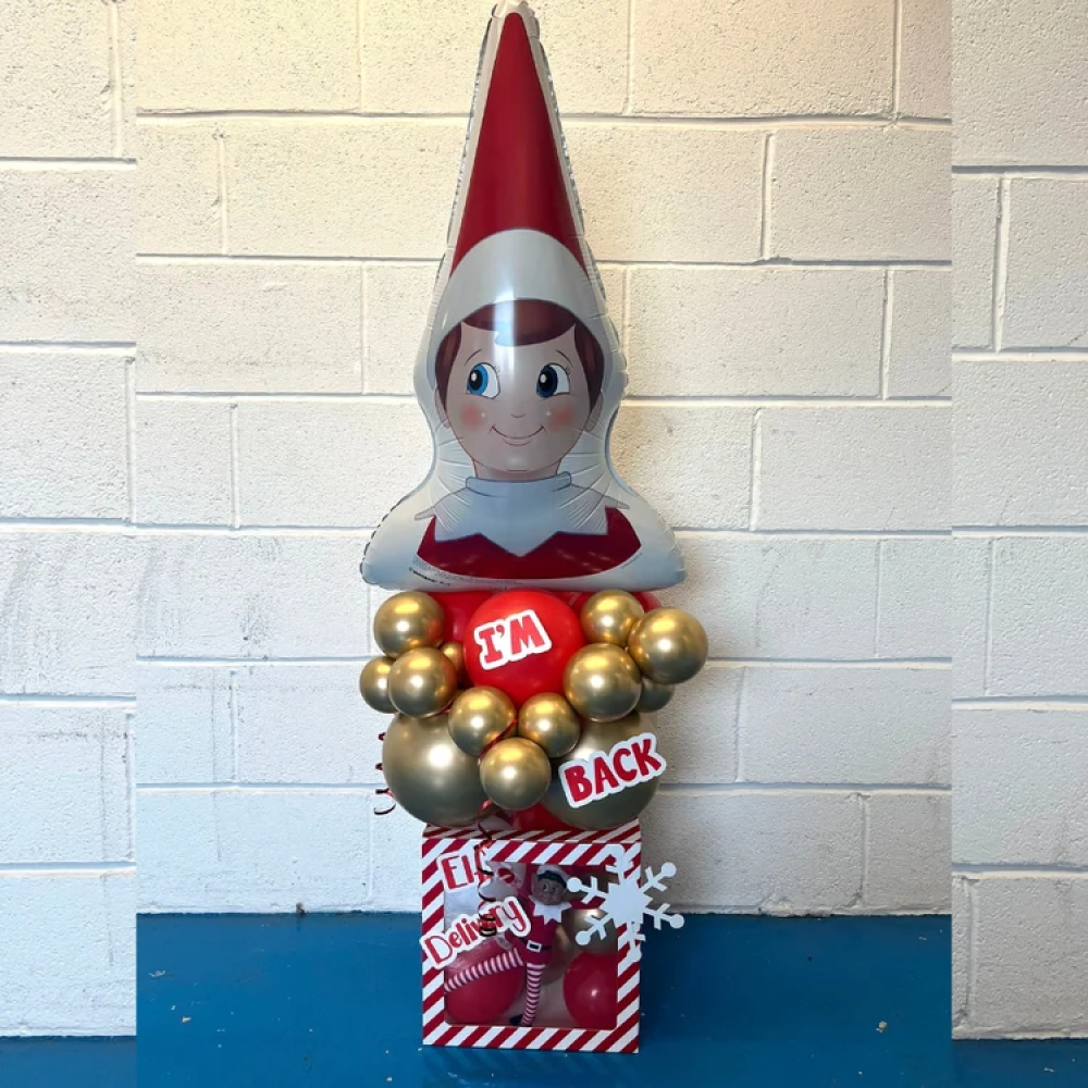 Balloon Box Elf Delivery 30x30cm 6pk