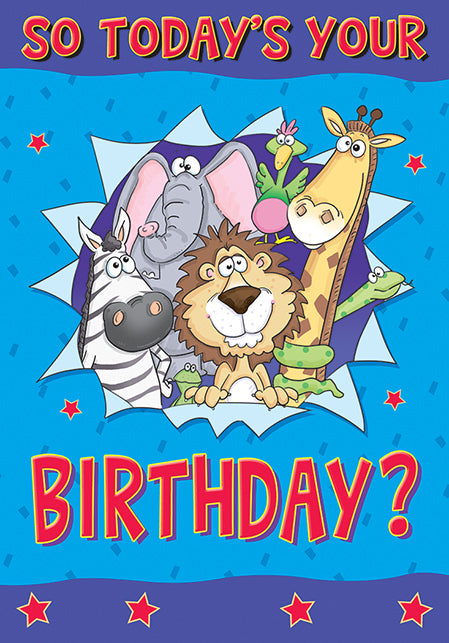 6pk Cards C50 Birthday Open - Tiger Feet Ireland