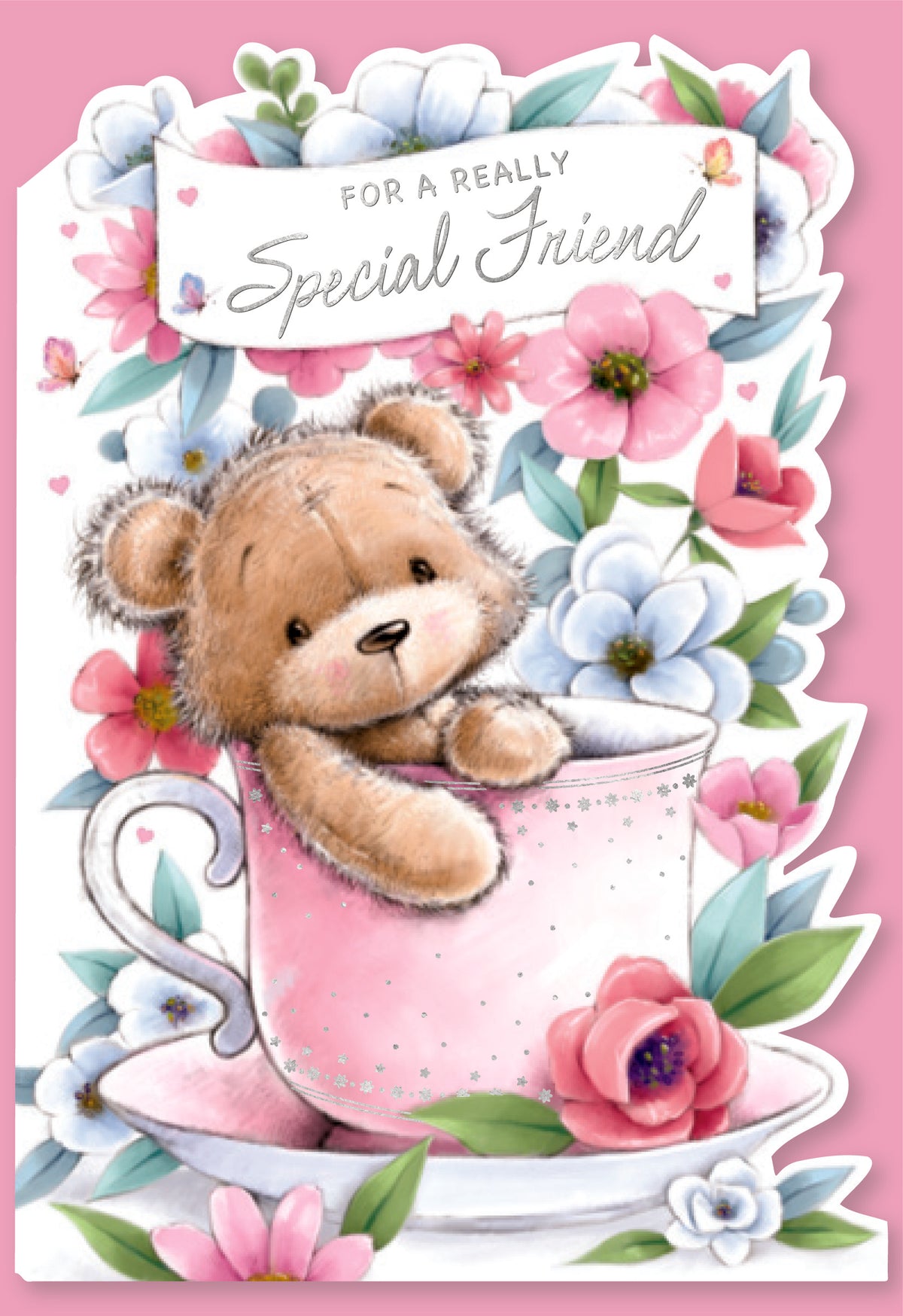6pk Cards C50 Birthday Friend - Tiger Feet Ireland