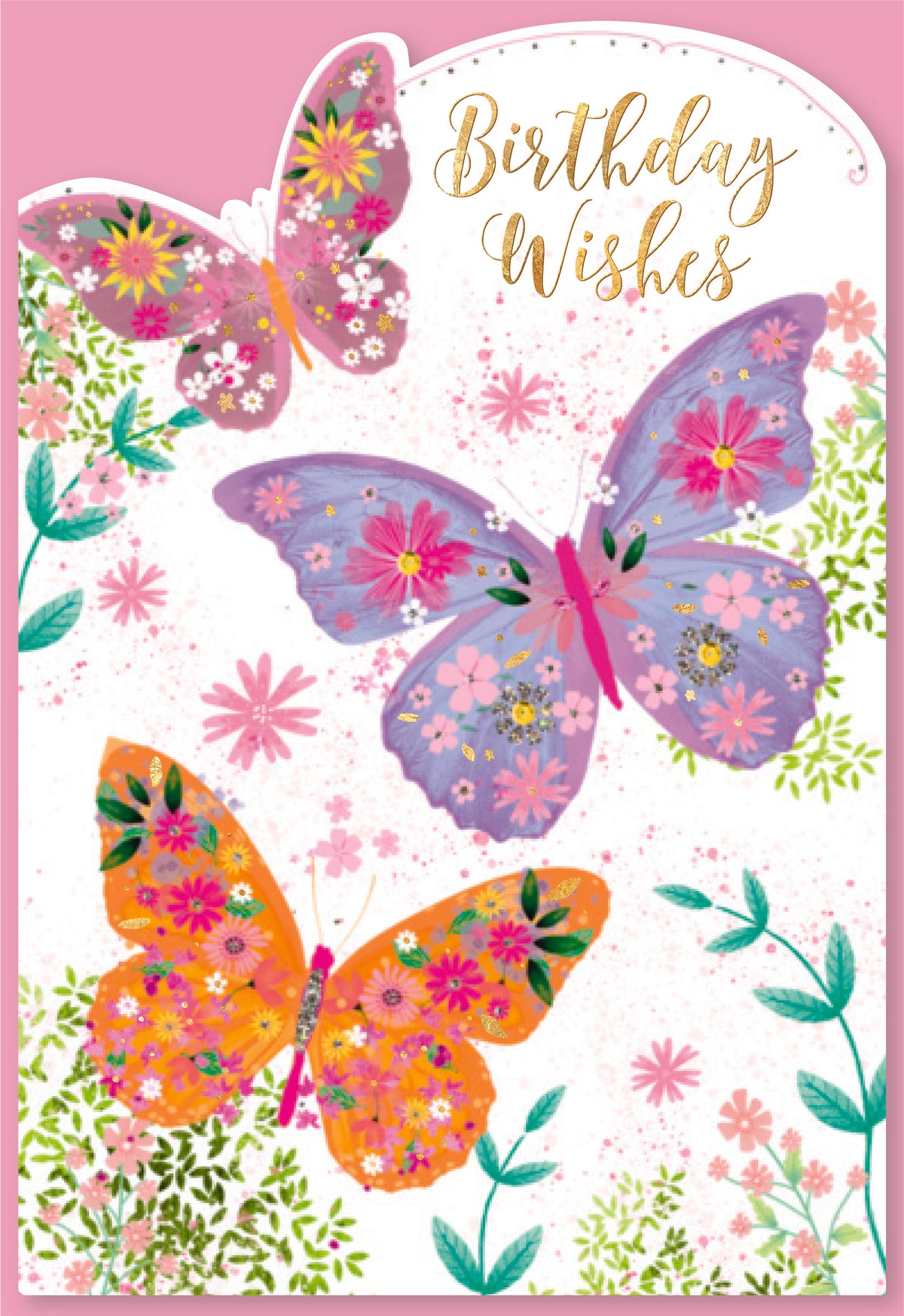 6pk Cards C50 Birthday Open - Tiger Feet Ireland