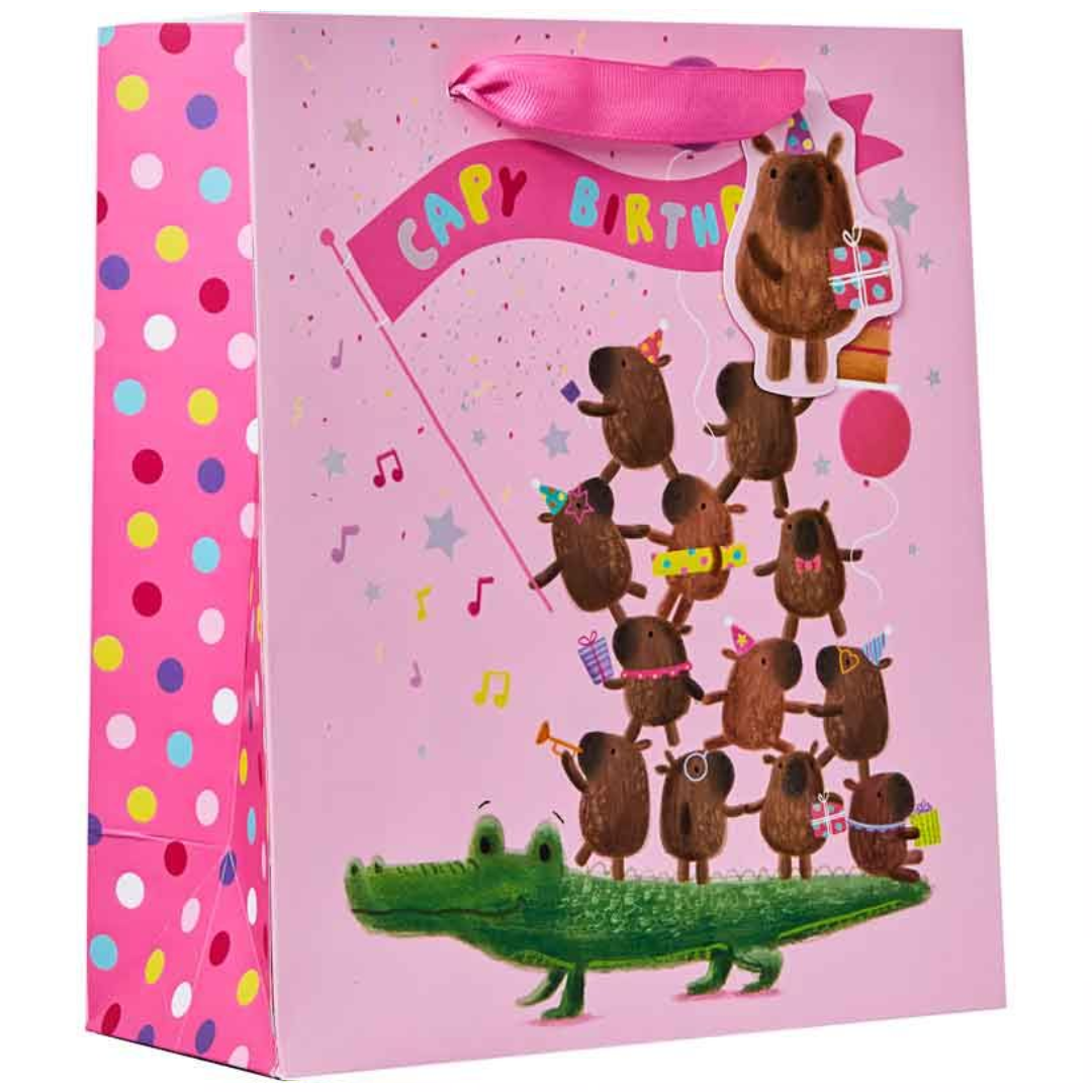 Partisan 6 Pack Gift Bag Capy Birthday Medium - Tiger Feet Ireland