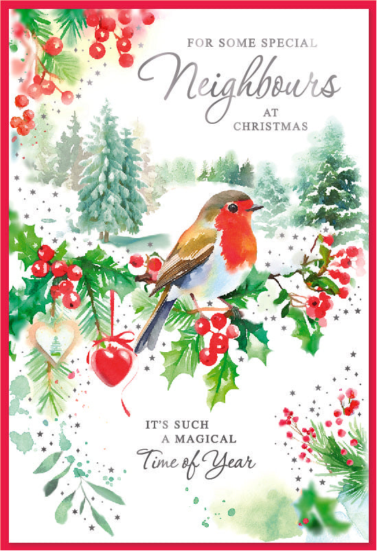 Simon Elvin 6pk Cards C50 Christmas Neighbours - Tiger Feet Ireland