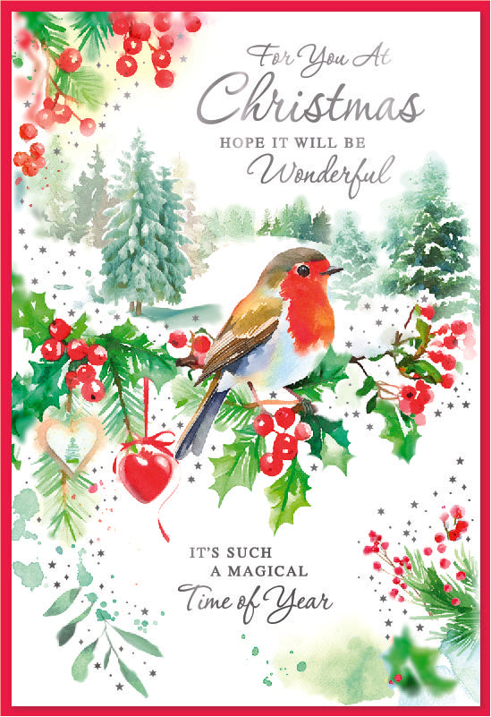 Simon Elvin 6pk Cards C50 Christmas Open - Tiger Feet Ireland