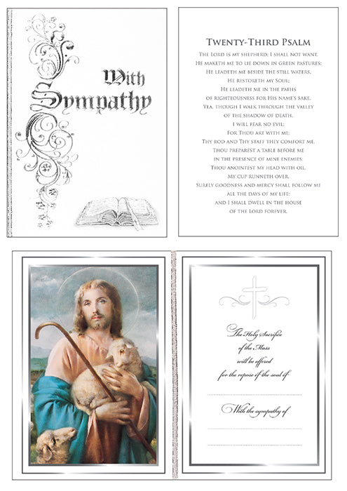 6pk Cards C50 Sympathy - Tiger Feet Ireland