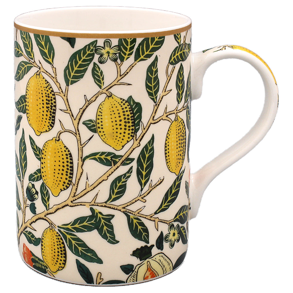 Fruits Mug - Tiger Feet Ireland