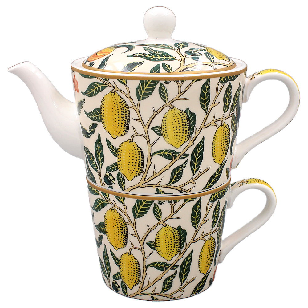 Fruits Tea For One - Tiger Feet Ireland