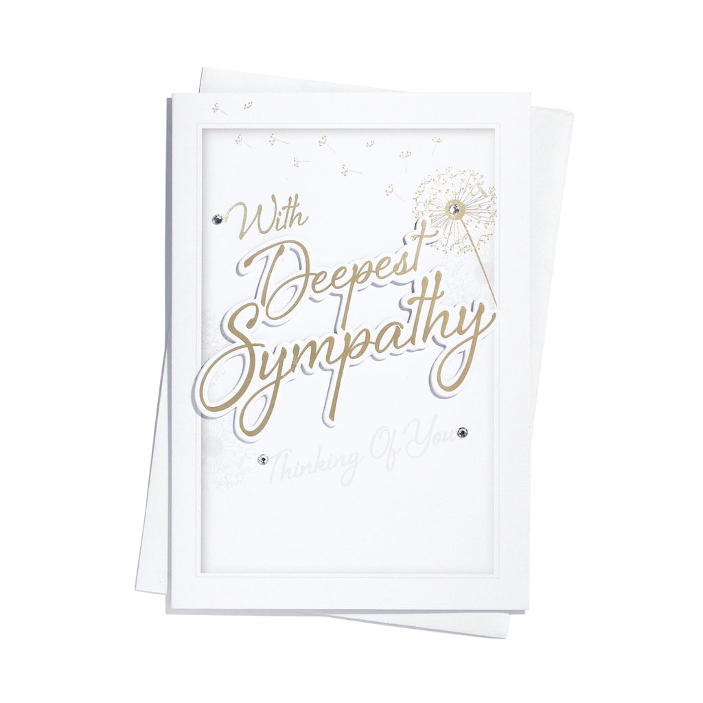 6pk Cards C50 Sympathy Open - Tiger Feet Ireland