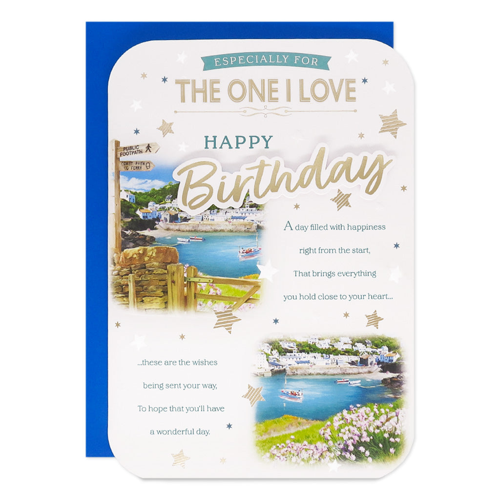 6pk Cards C90 Birthday One I Love - Tiger Feet Ireland