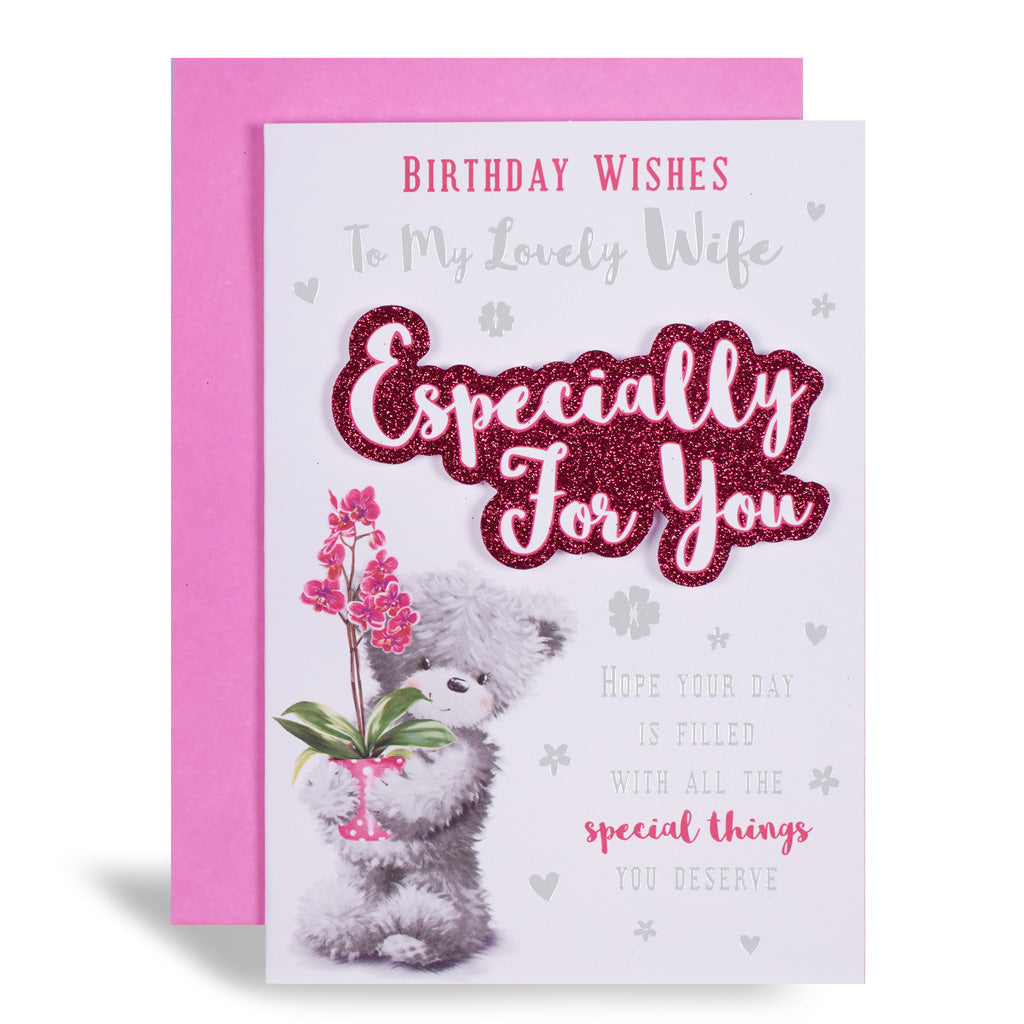 6pk Cards C50 Birthday Wife - Tiger Feet Ireland