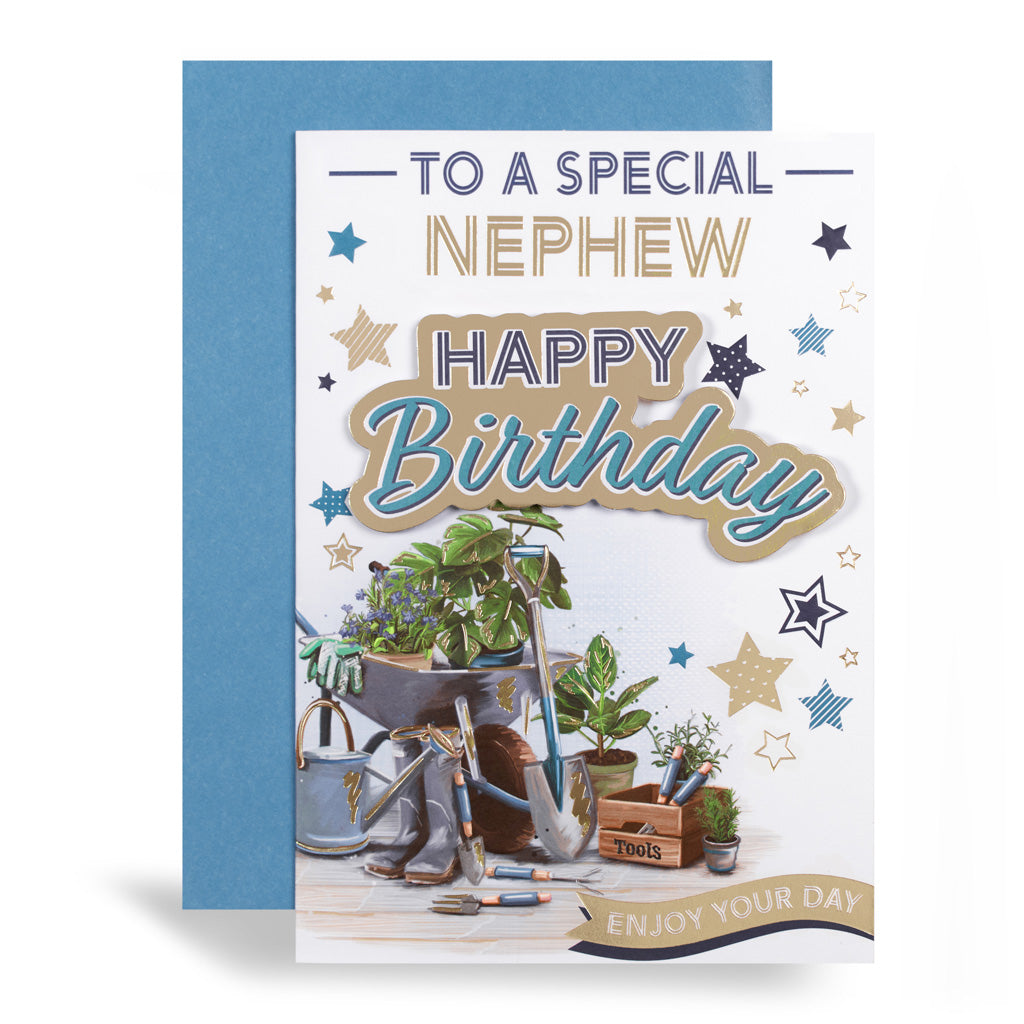 6pk Cards C50 Birthday Nephew - Tiger Feet Ireland