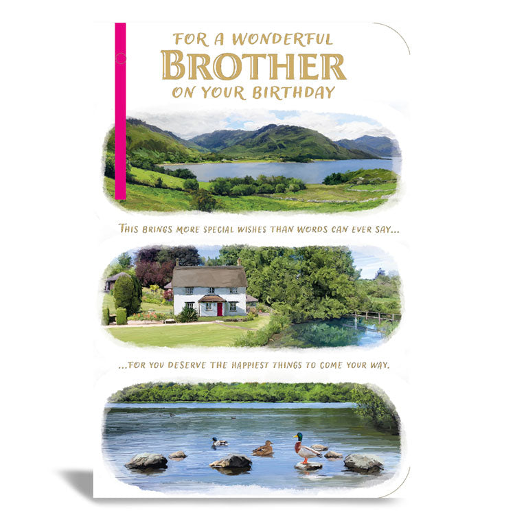 6pk Cards C75 Birthday Brother - Tiger Feet Ireland
