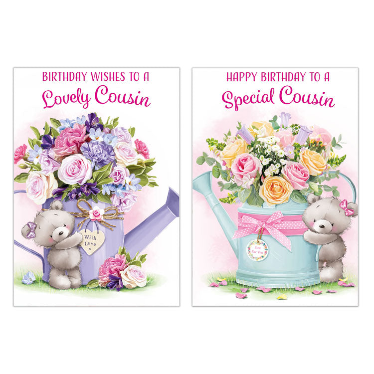 12pk Cards C50 Birthday Cousin - Tiger Feet Ireland