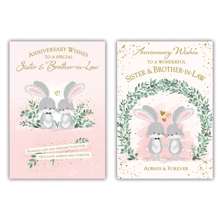 12pk Cards C50 Sister & Brother-In-Law Anniversary - Tiger Feet Ireland