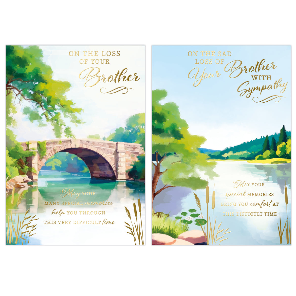 Poppyhill 12 Pack C50 Sympathy Loss Of Brother
