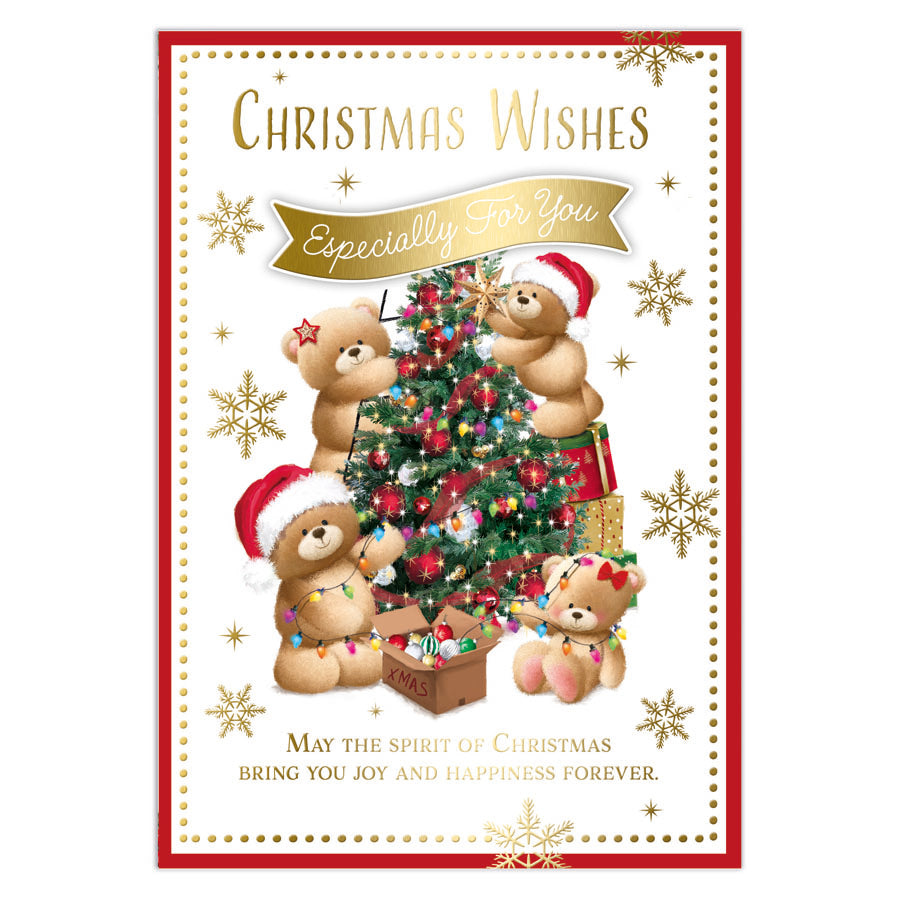 Prelude C50 Christmas Cards Open 6pk - Tiger Feet Ireland