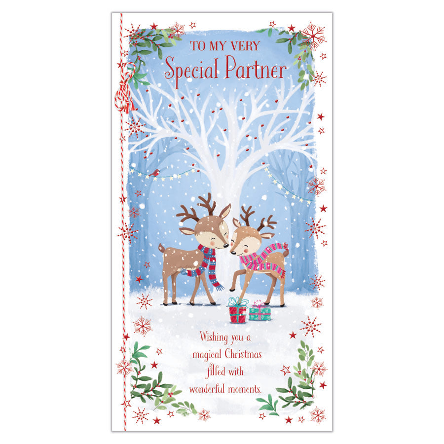 Prelude C55 Christmas Cards Partner 6pk - Tiger Feet Ireland