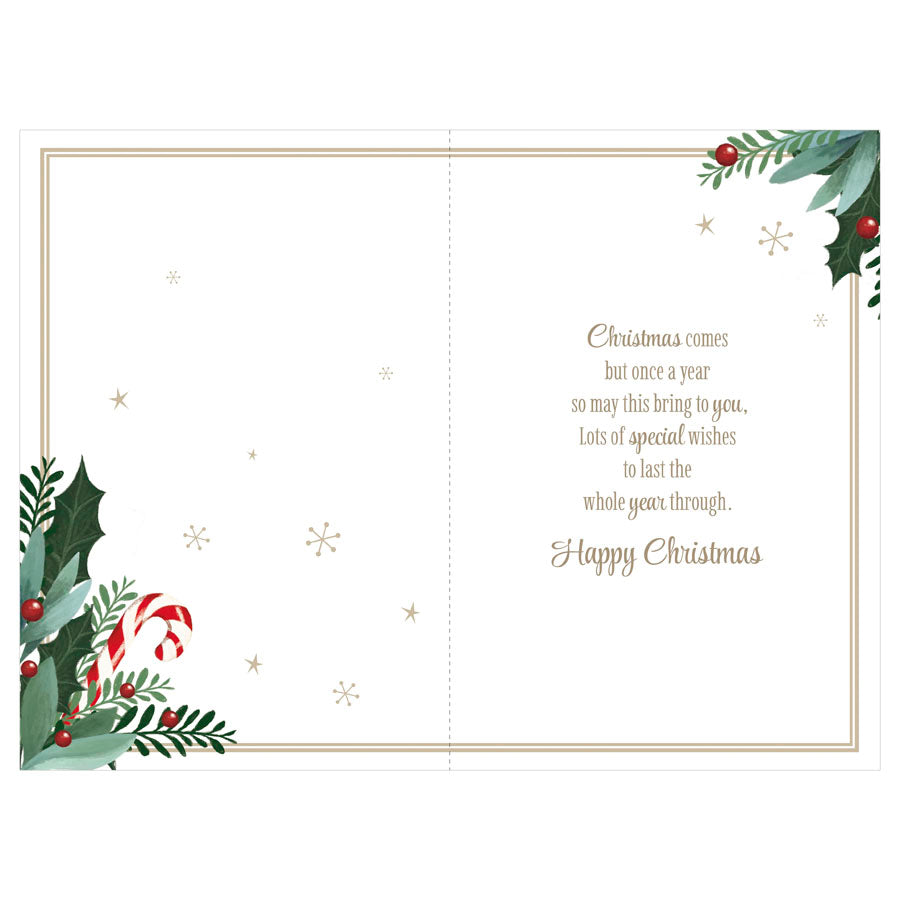 Prelude C75 Christmas Cards All Of You 6pk - Tiger Feet Ireland
