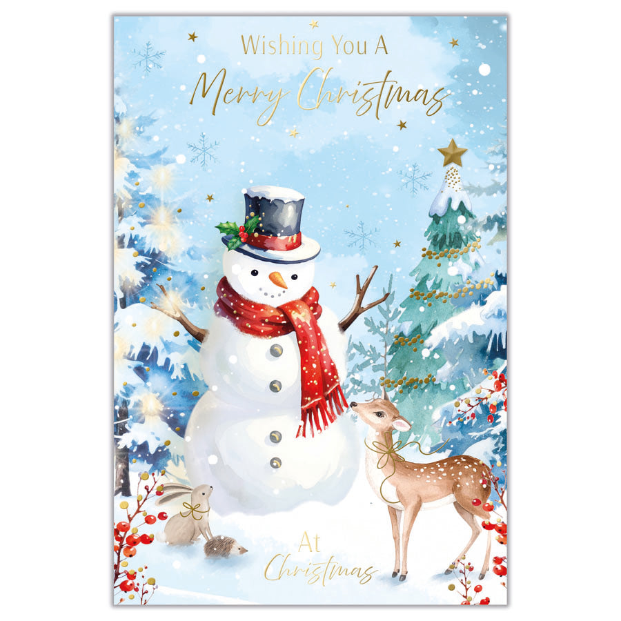 Prelude C75 Christmas Cards Open 6pk - Tiger Feet Ireland