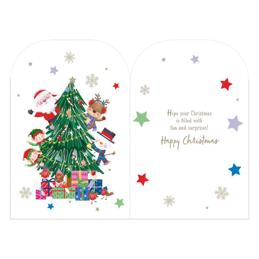 Prelude C75 Christmas Cards Open 6pk - Tiger Feet Ireland