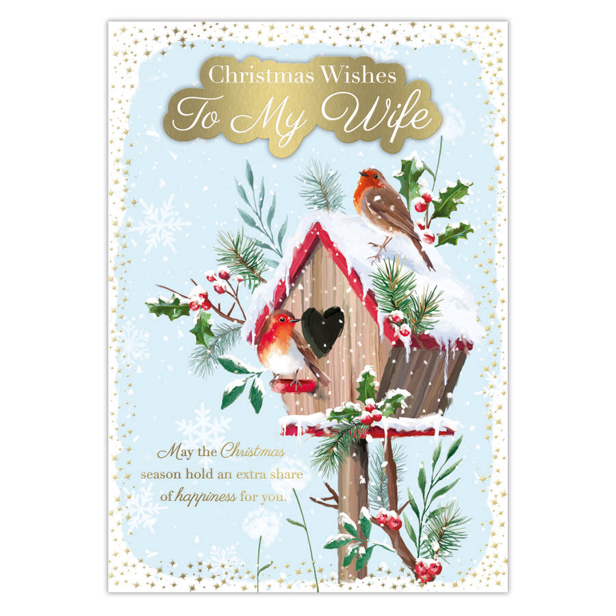 Prelude C90 Christmas Wife 6pk - Tiger Feet Ireland