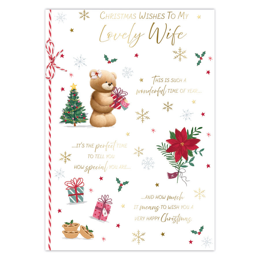 Prelude C90 Christmas Wife 6pk - Tiger Feet Ireland
