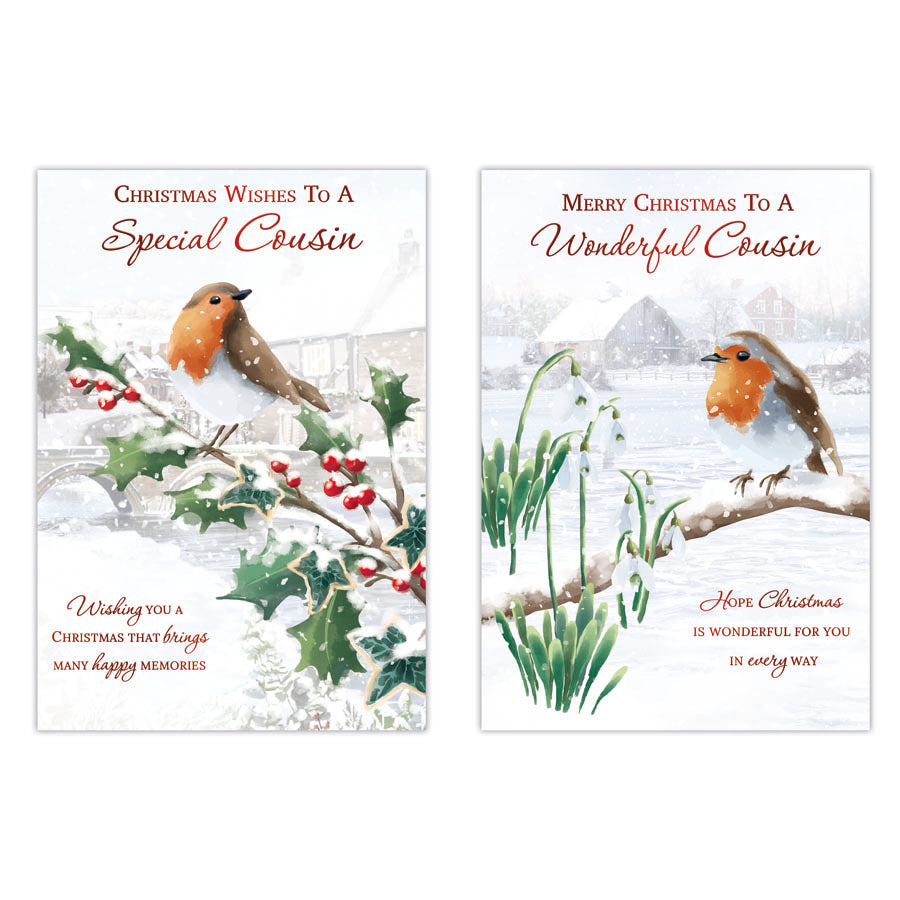 Poppyhill C50 Christmas Cards Cousin 12pk - Tiger Feet Ireland