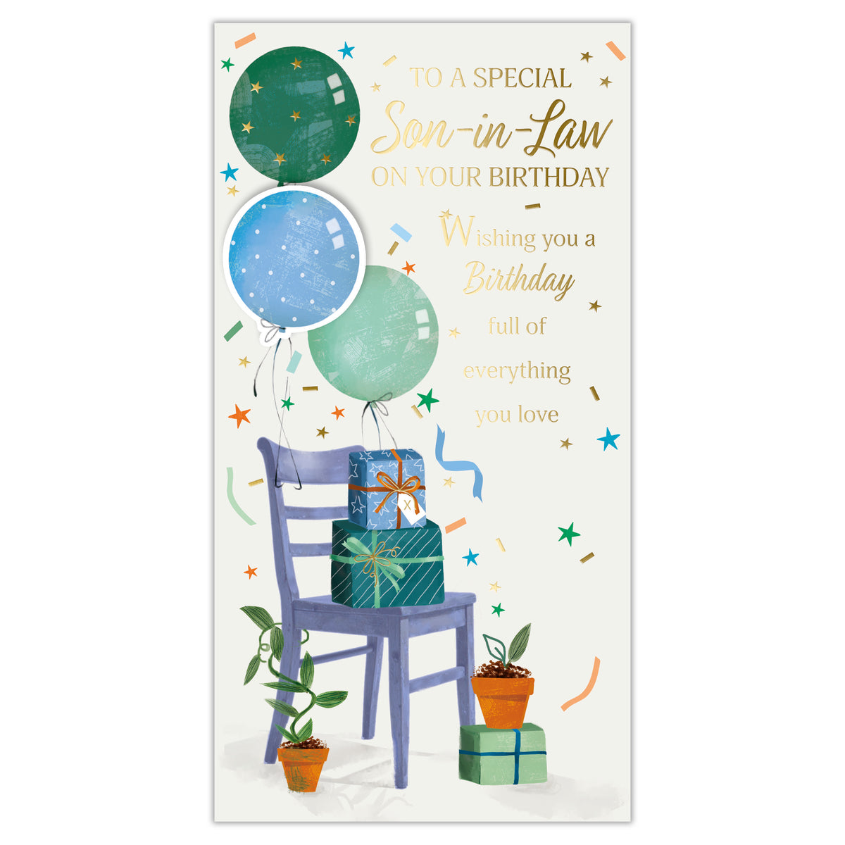Prelude C55 Cards Birthday Son-In-Law 6pk - Tiger Feet Ireland
