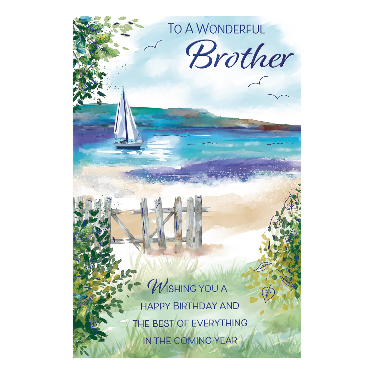 Prelude C75 Cards Birthday Brother 6pk - Tiger Feet Ireland