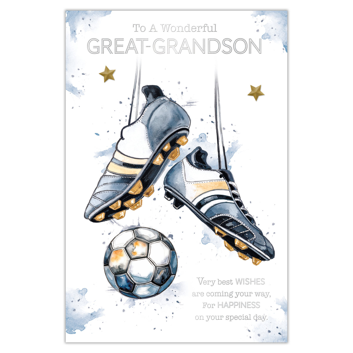 Prelude C75 Cards Birthday Great-Grandson 6pk - Tiger Feet Ireland