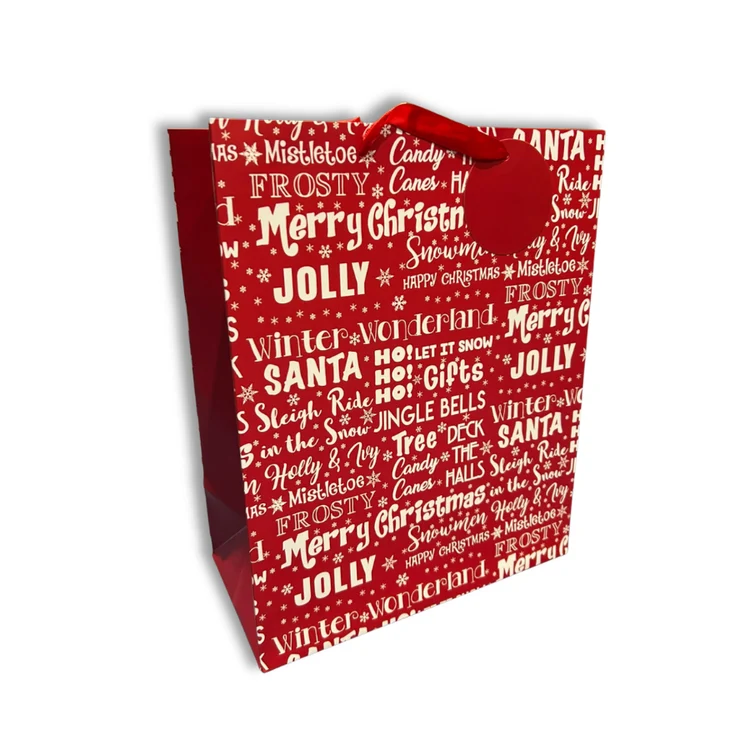 12pk Large Portrait Gift Bags Text