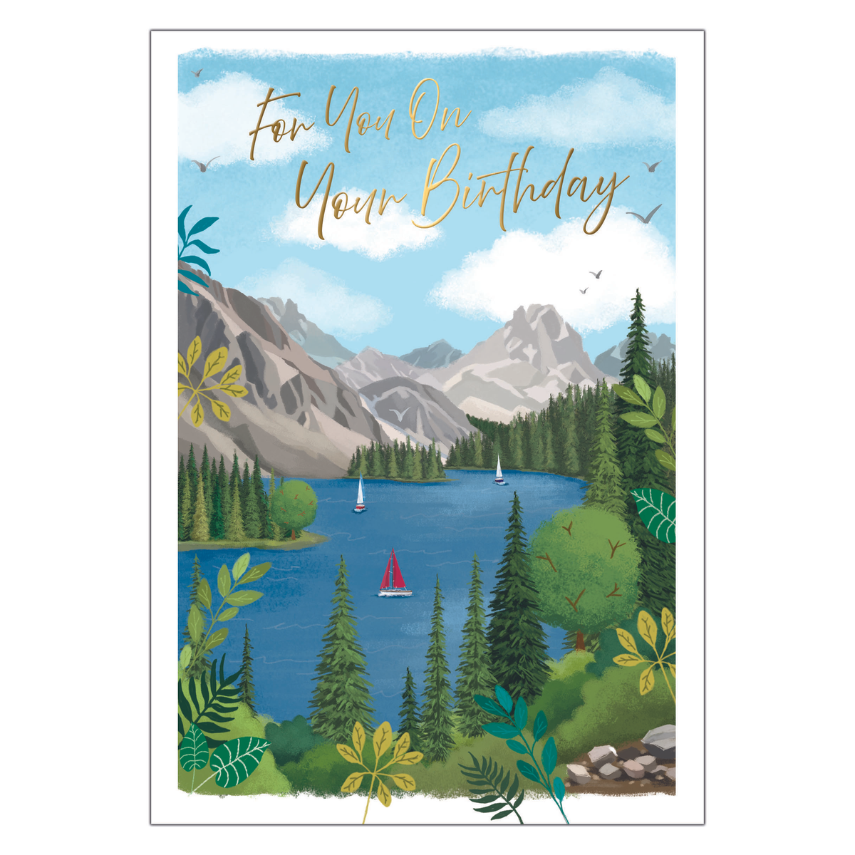 6pk Cards C50 Birthday Open - Tiger Feet Ireland