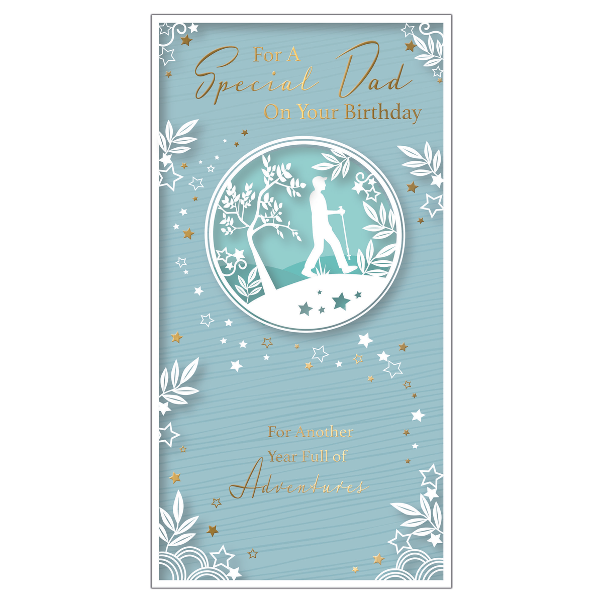 6pk Cards C55 Birthday Dad - Tiger Feet Ireland