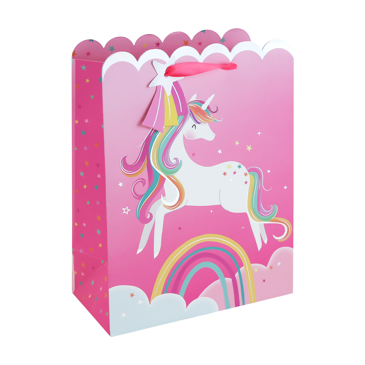 6pk Gift Bag Unicorn Large - Tiger Feet Ireland