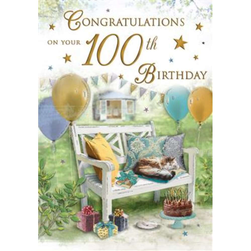 6pk Cards C75 Birthday Age 100 - Tiger Feet Ireland