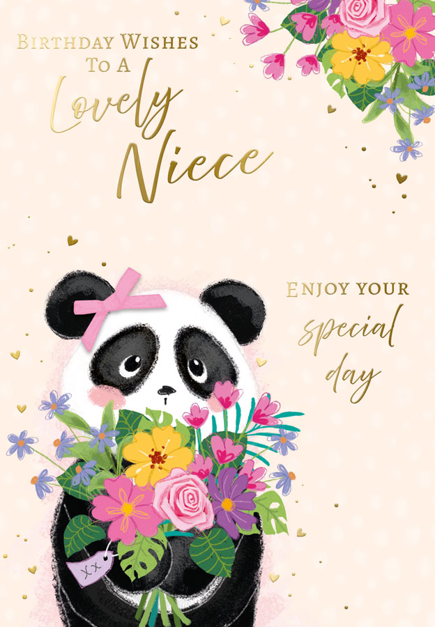 6pk Cards C50 Birthday Niece - Tiger Feet Ireland