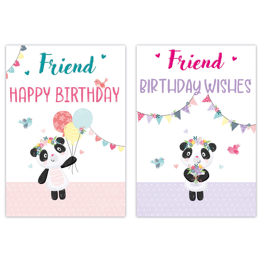 12pk Cards C50 Birthday Friend - Tiger Feet Ireland