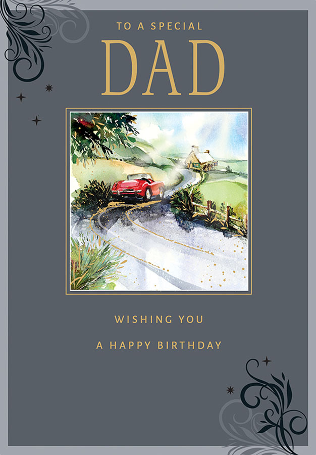 6pk Cards ED C75 Dad Road Scene - Tiger Feet Ireland
