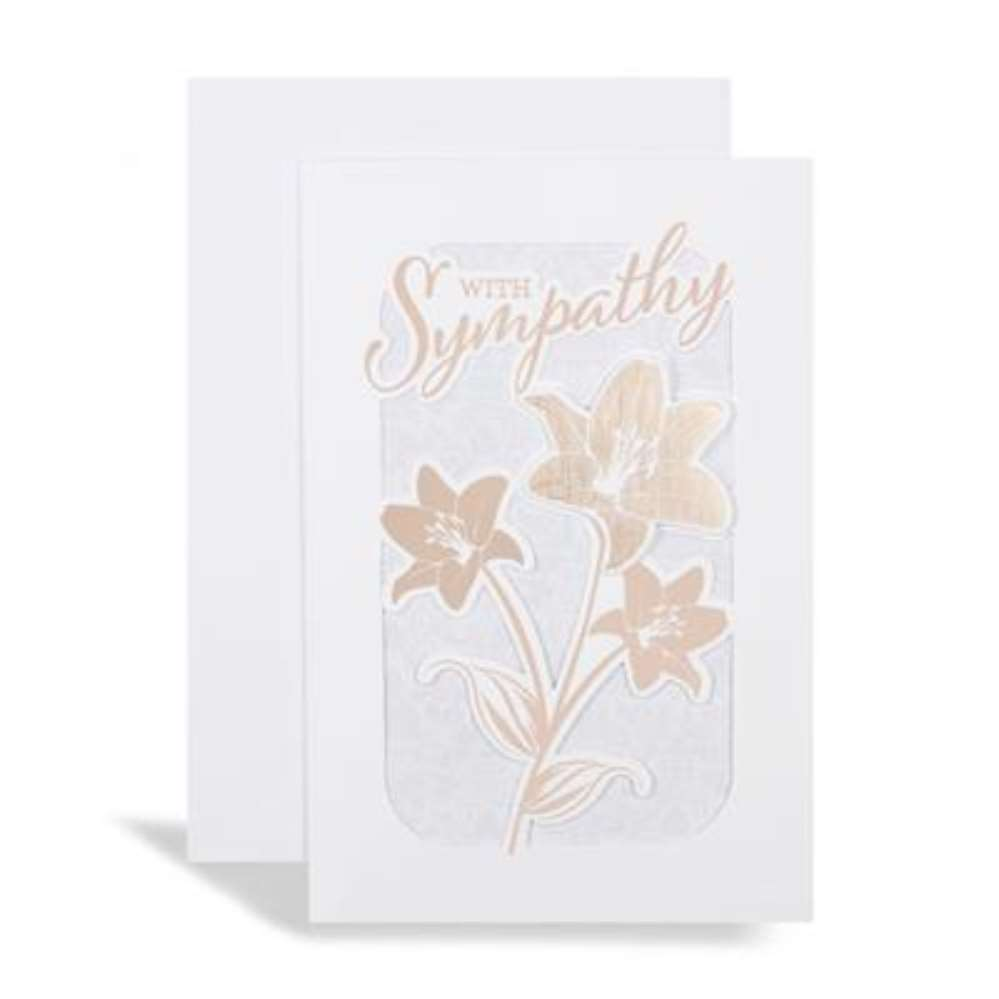 6pk Cards 75 Sympathy Open - Tiger Feet Ireland