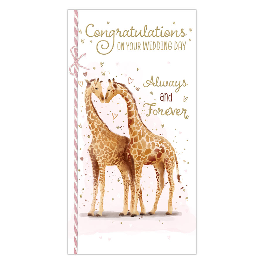 6pk Cards C55 Wedding Day - Tiger Feet Ireland