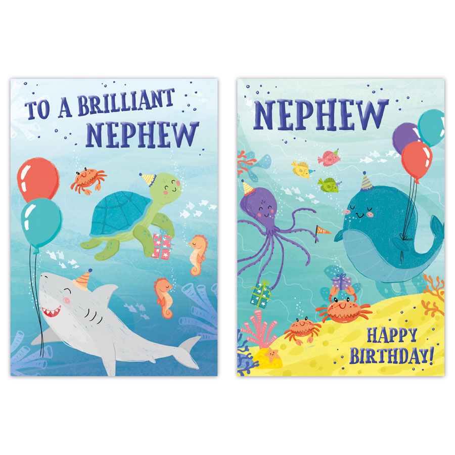 12pk Cards C50 Birthday Nephew - Tiger Feet Ireland