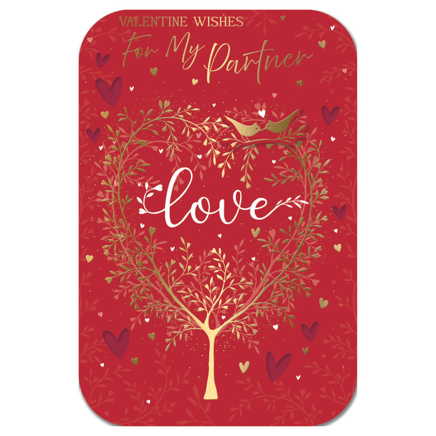 6pk Cards C75 Partner - Tiger Feet Ireland