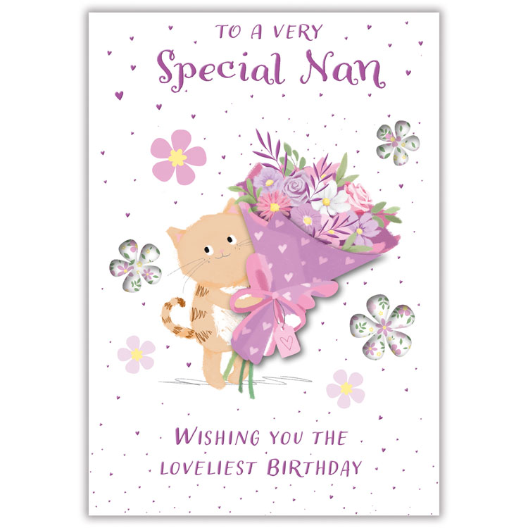 6pk Cards C50 Birthday Nan - Tiger Feet Ireland