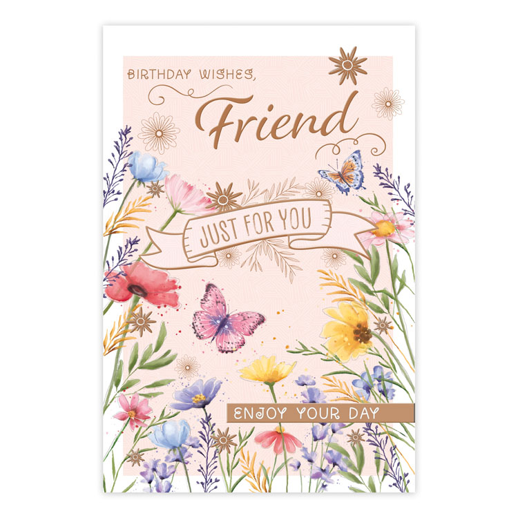 6pk Cards C75 Birthday Friend - Tiger Feet Ireland