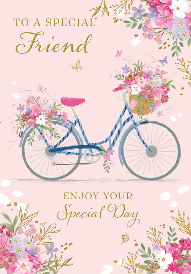 12pk Cards C50 Birthday Friend - Tiger Feet Ireland