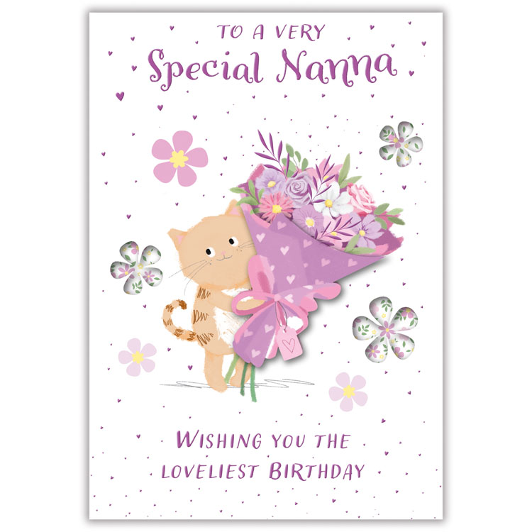 6pk Cards C50 Birthday Nanna - Tiger Feet Ireland