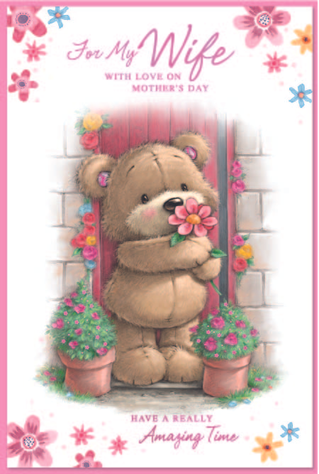Simon Elvin 6 Pack Cards C75 Mother's Day Wife - Tiger Feet Ireland