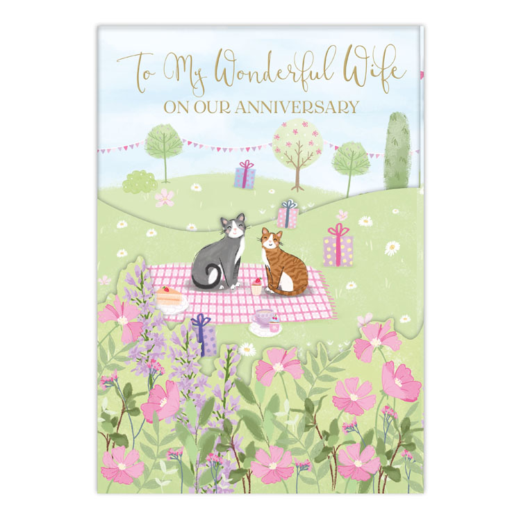 6pk Cards C90 Wife Anniversary - Tiger Feet Ireland