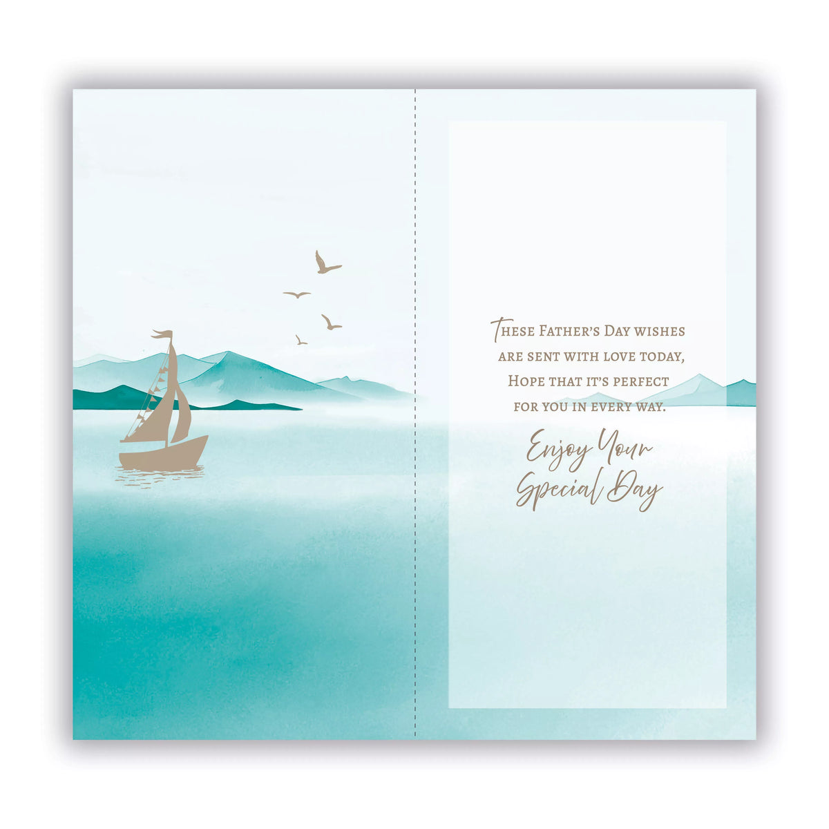 6pk Cards C55 Dad - Tiger Feet Ireland