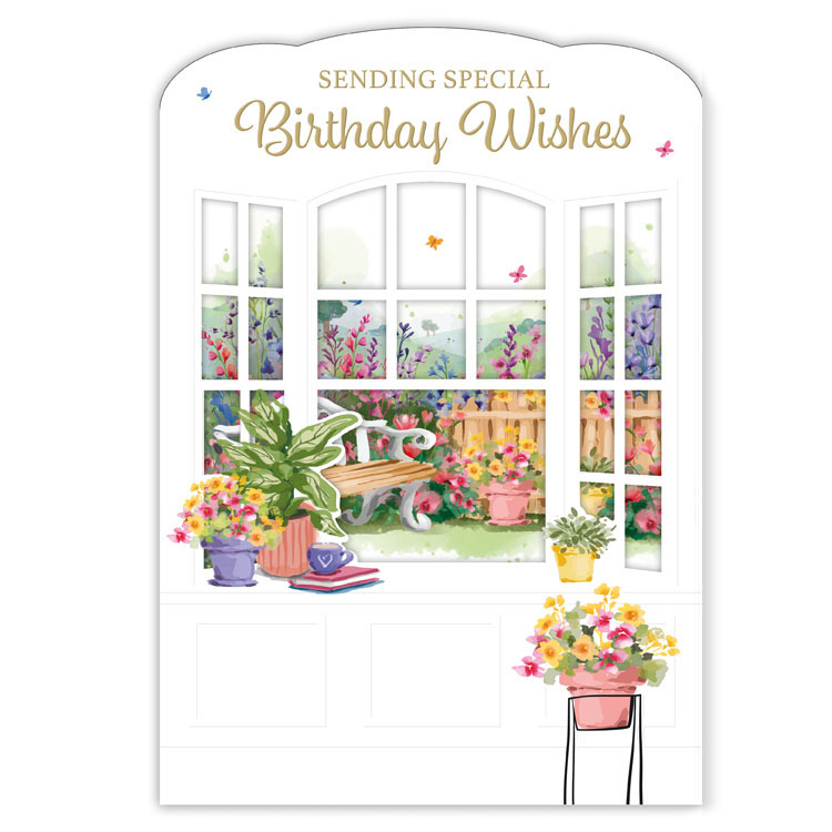 6pk Cards C90 Birthday Open - Tiger Feet Ireland